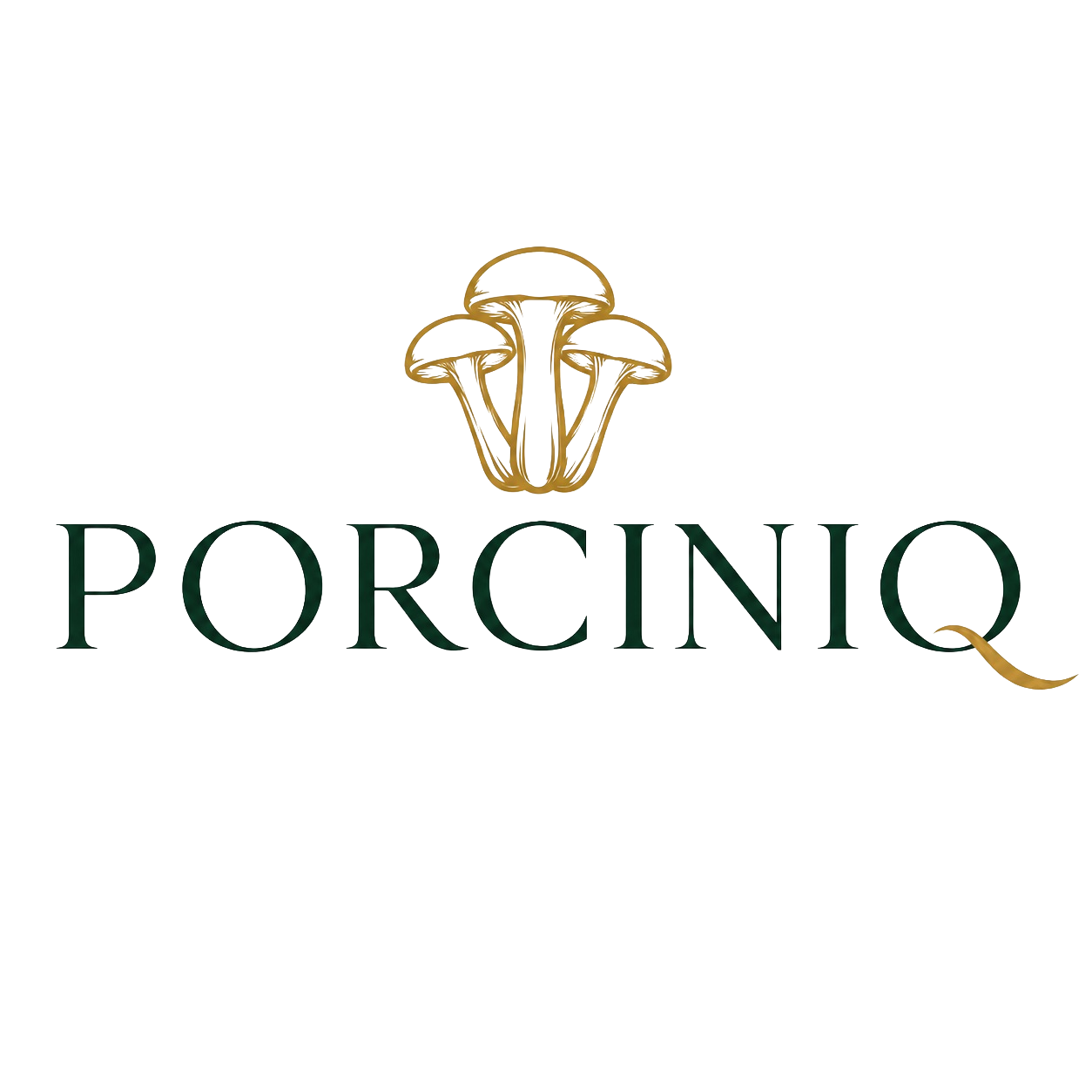 PorciniQ